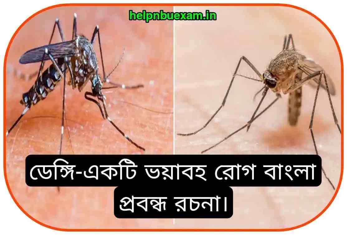ডেঙ্গি একটি ভয়াবহ রোগ বাংলা প্রবন্ধ রচনা | Dengue Essay in Bengali