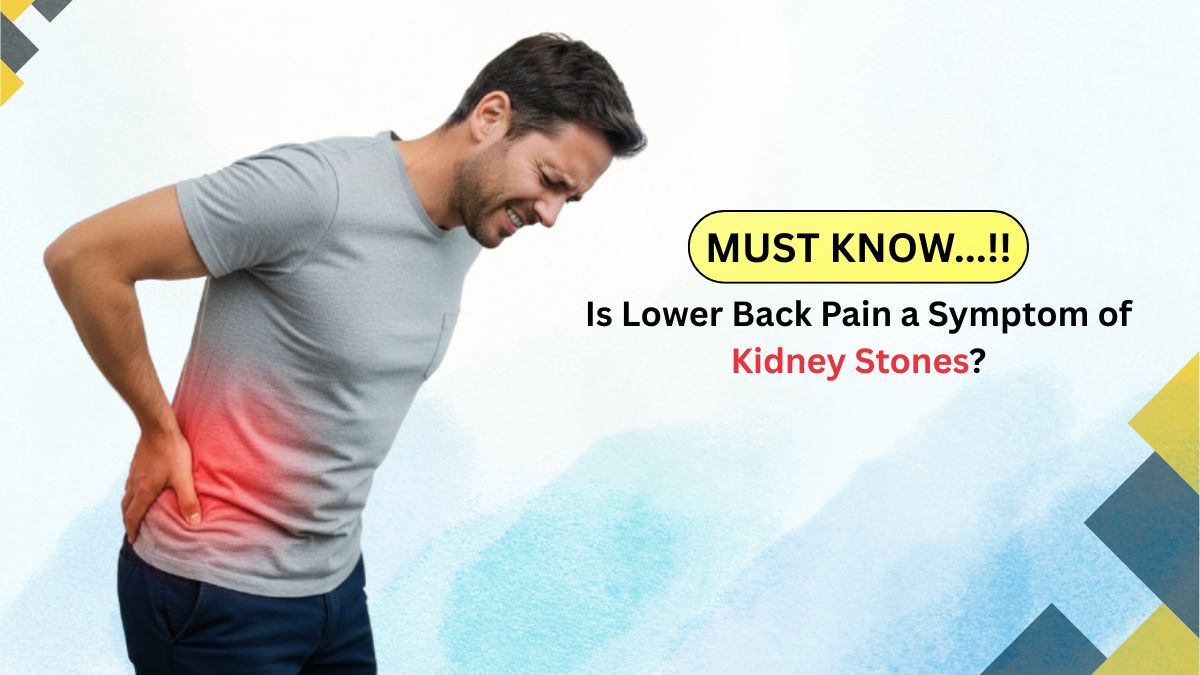 কিডনিতে পাথরের উপসর্গ এবং ব্যথা কোথায় হয় তার ডায়াগ্রাম